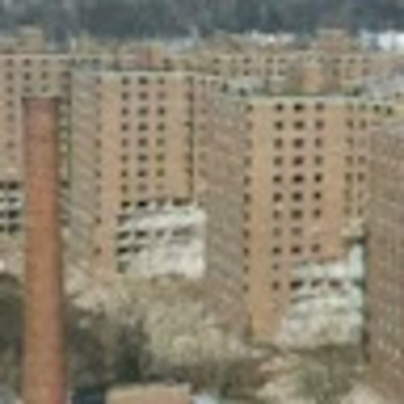 Meet your Posher, John - Picture 1 of 1